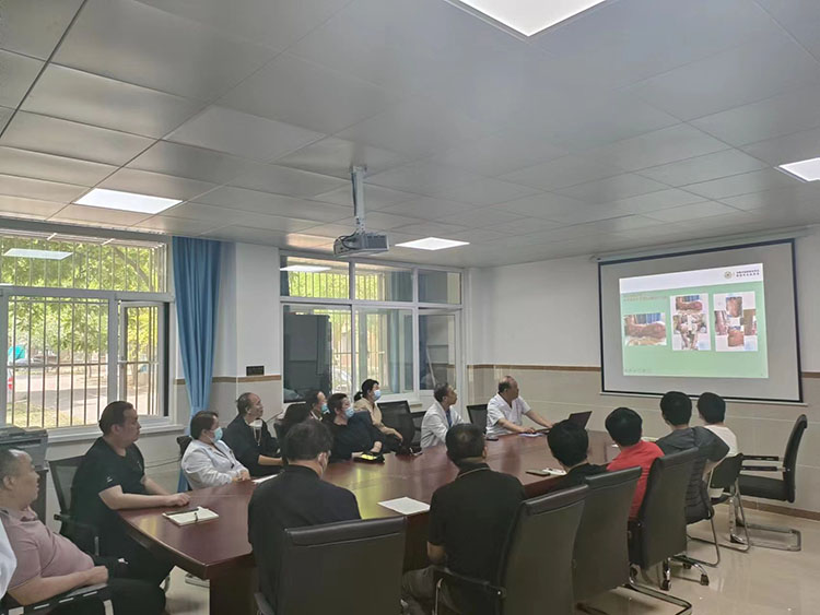 风险久久久久久亚洲精品影院