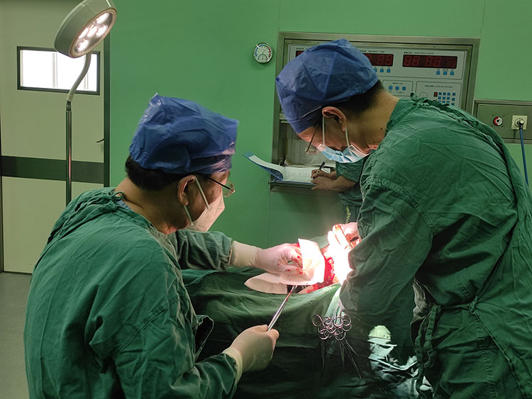 风险久久久久久亚洲精品影院