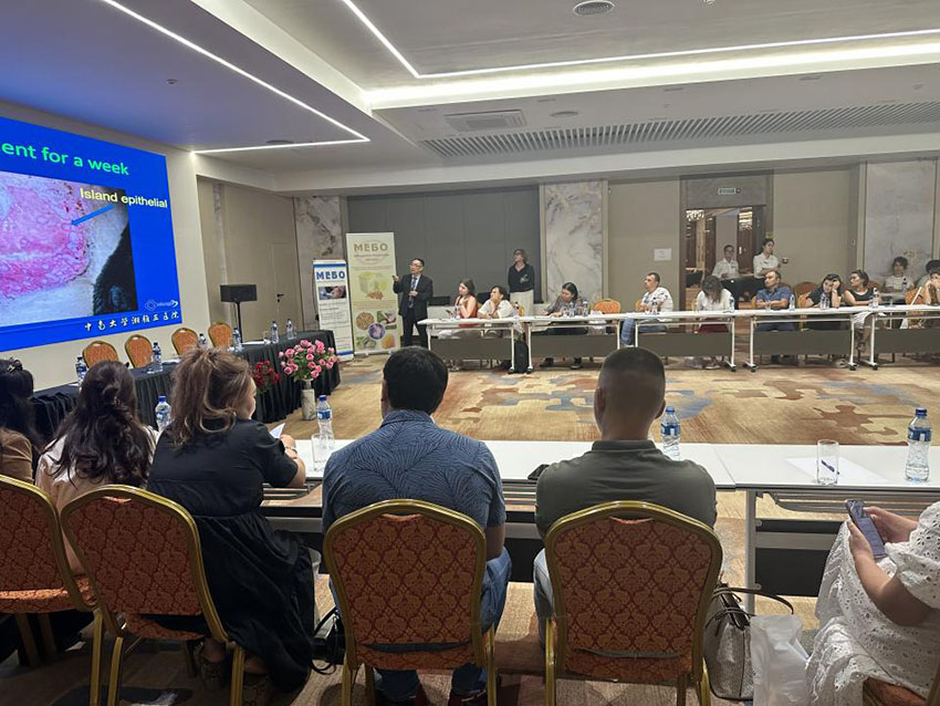 风险久久久久久亚洲精品影院