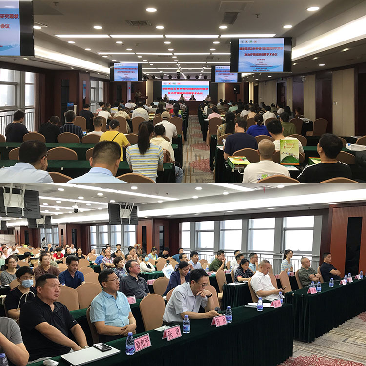 风险久久久久久亚洲精品影院