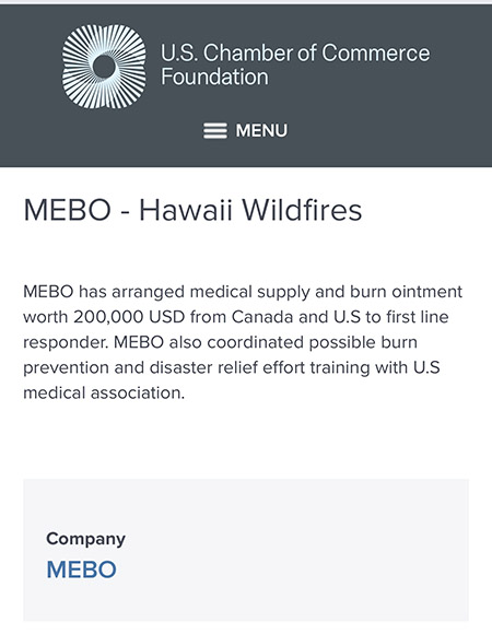 风险久久久久久亚洲精品影院