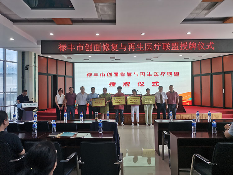 风险久久久久久亚洲精品影院