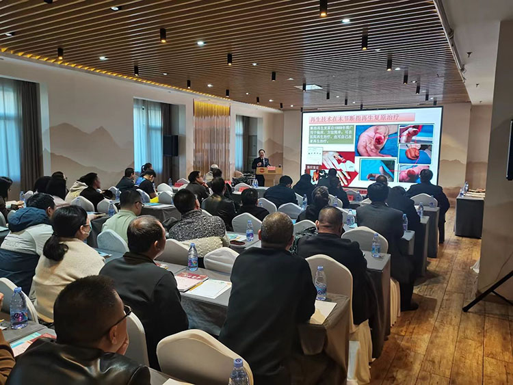 风险久久久久久亚洲精品影院