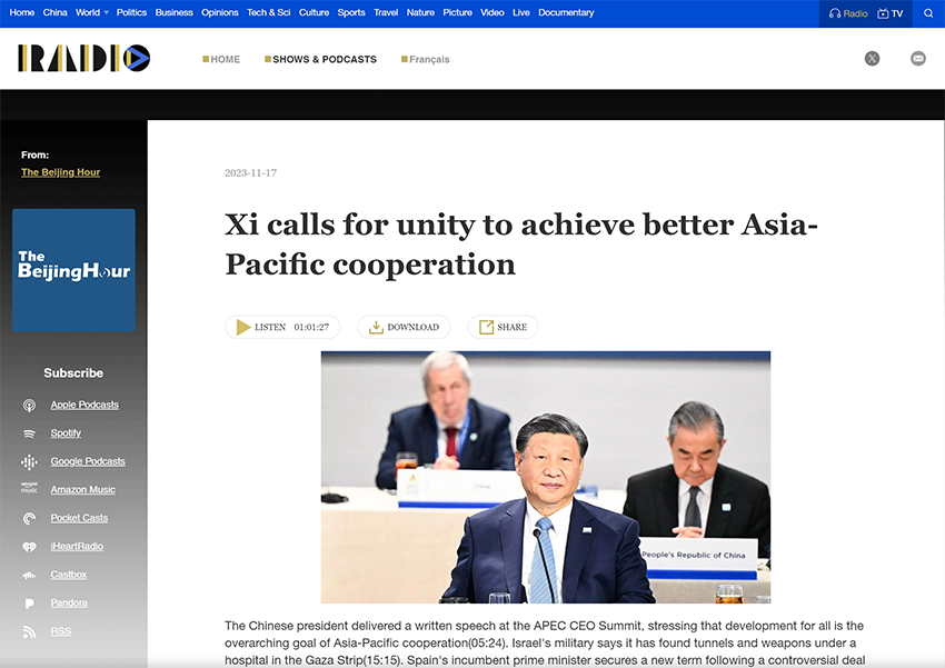 风险久久久久久亚洲精品影院