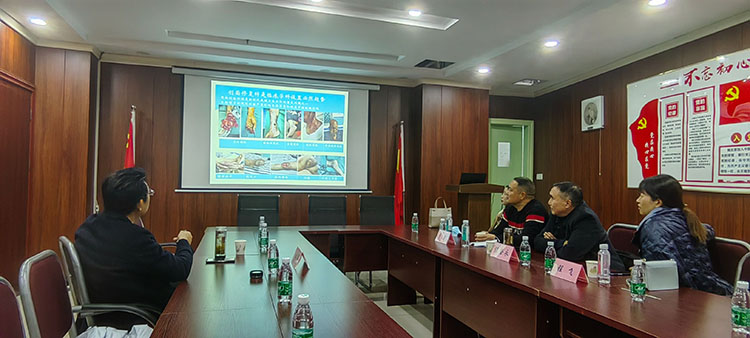 风险久久久久久亚洲精品影院