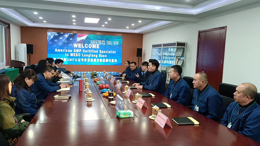 风险久久久久久亚洲精品影院