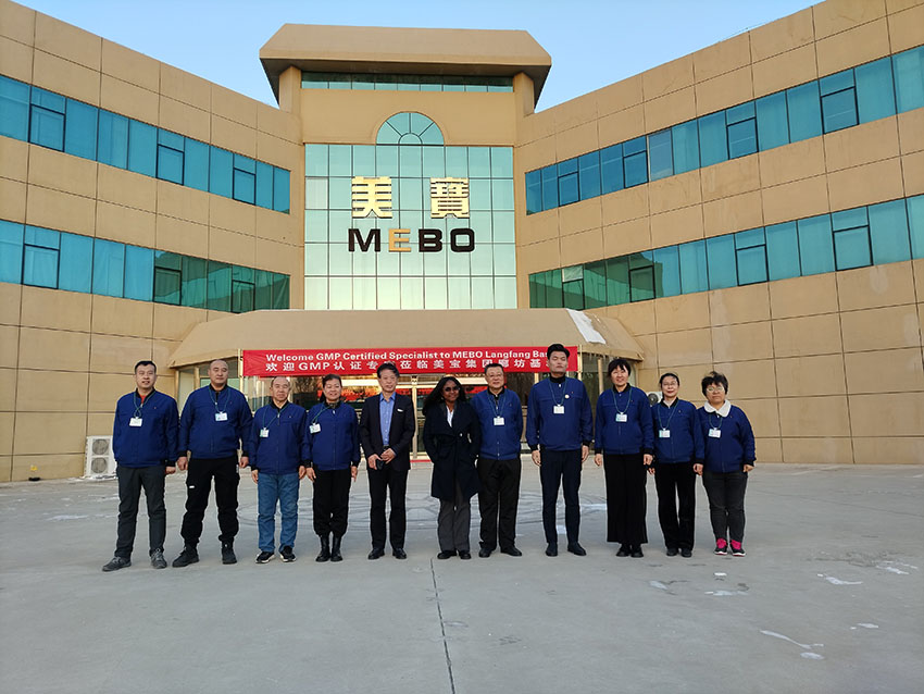 风险久久久久久亚洲精品影院