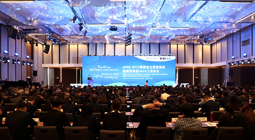 风险久久久久久亚洲精品影院