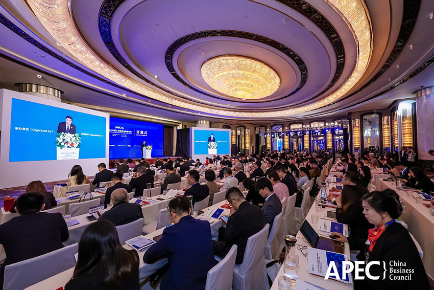 风险久久久久久亚洲精品影院