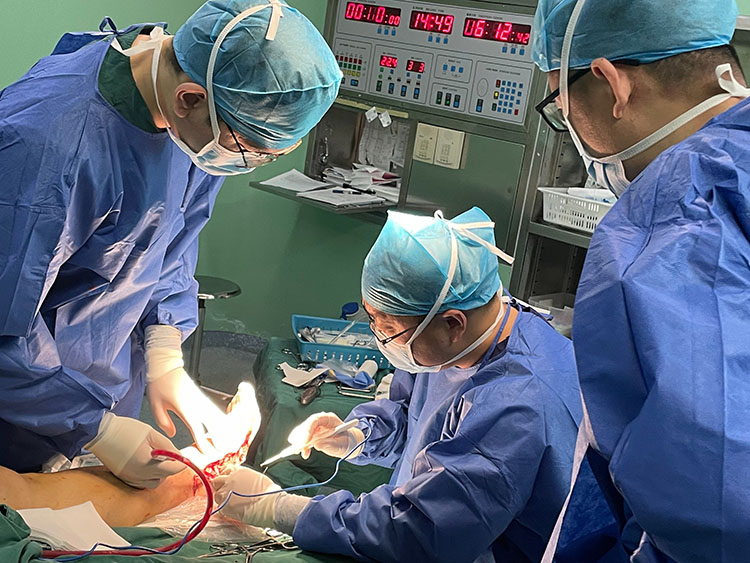 风险久久久久久亚洲精品影院