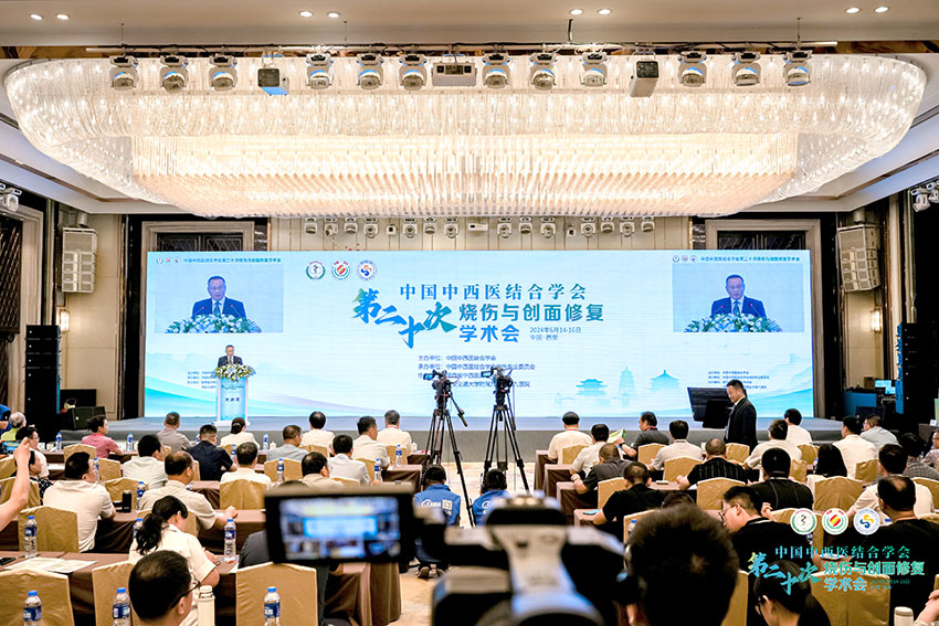 风险久久久久久亚洲精品影院