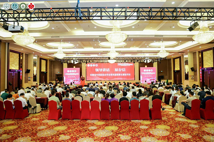 风险久久久久久亚洲精品影院