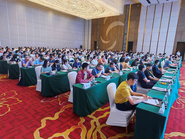 风险久久久久久亚洲精品影院