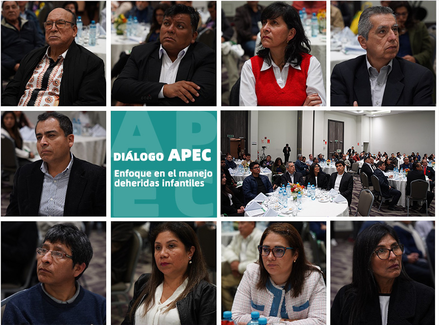 风险久久久久久亚洲精品影院