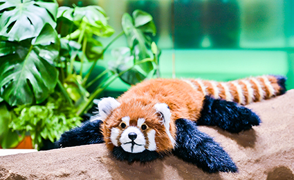 风险久久久久久亚洲精品影院