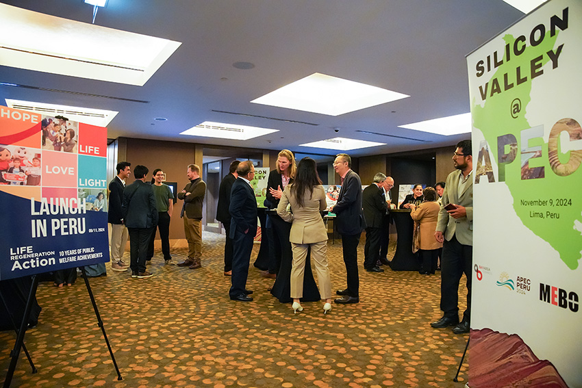 风险久久久久久亚洲精品影院