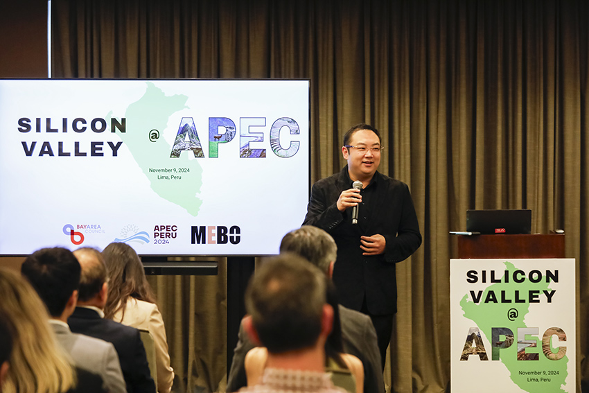 风险久久久久久亚洲精品影院