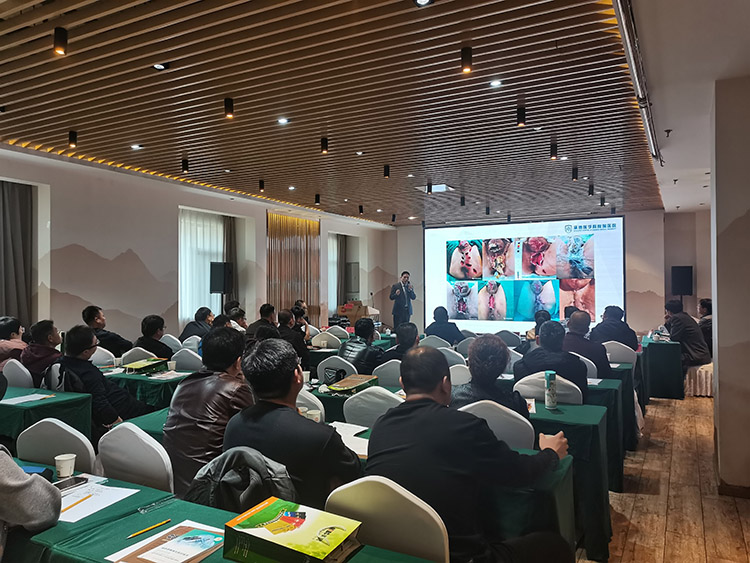 风险久久久久久亚洲精品影院