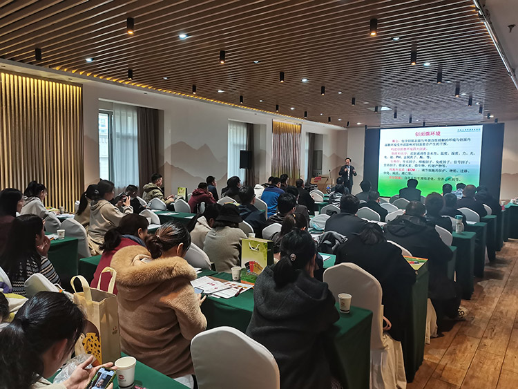 风险久久久久久亚洲精品影院