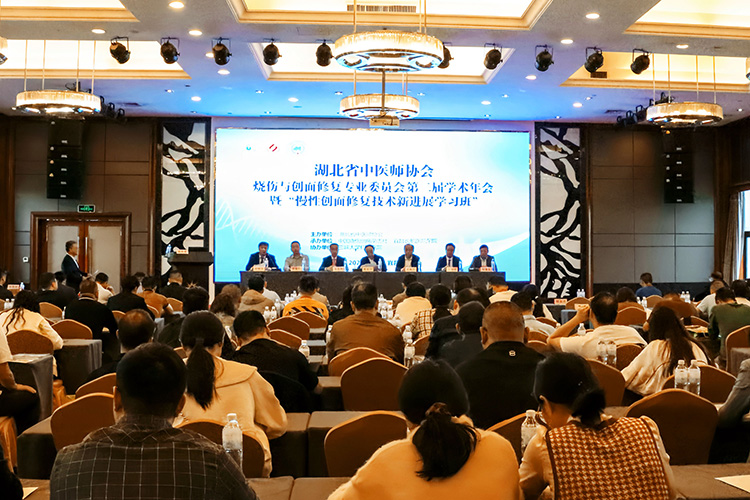 风险久久久久久亚洲精品影院