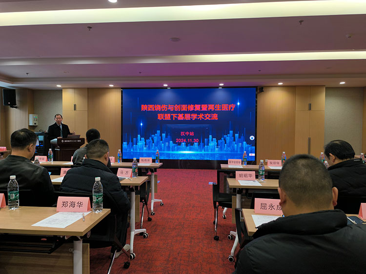 风险久久久久久亚洲精品影院