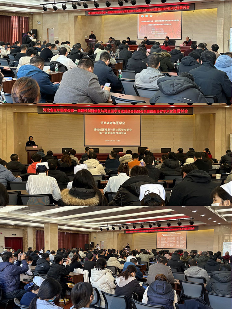 风险久久久久久亚洲精品影院