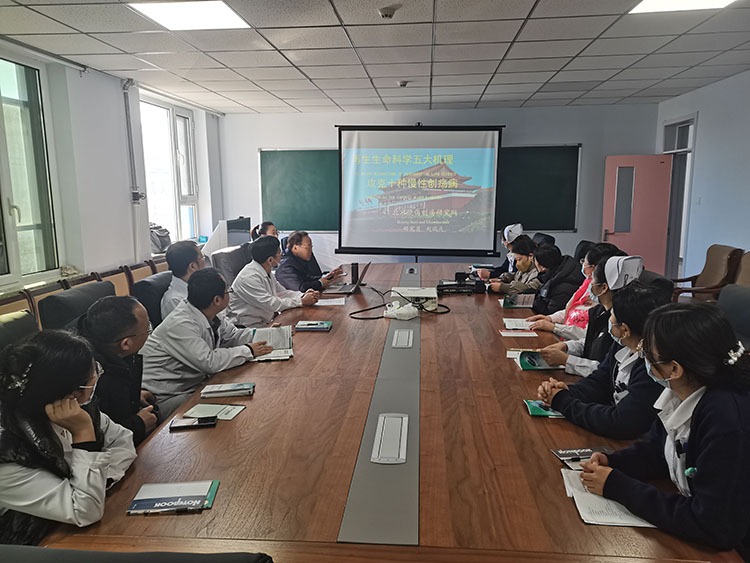 风险久久久久久亚洲精品影院