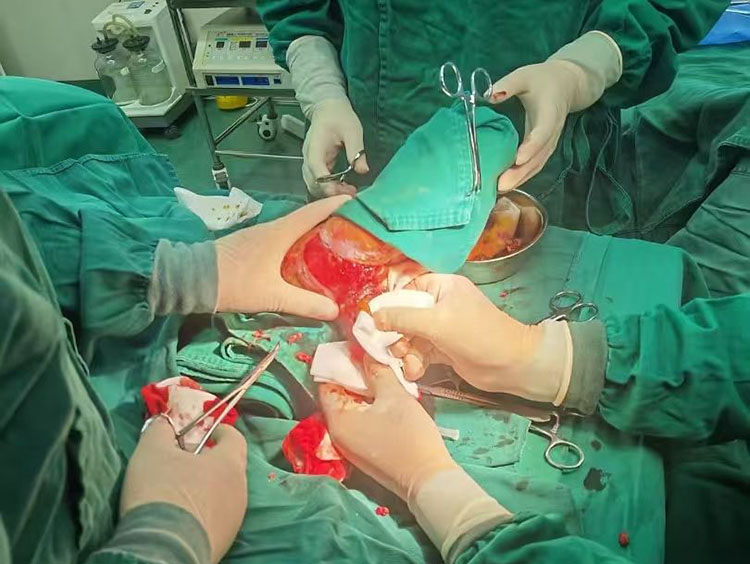 风险久久久久久亚洲精品影院