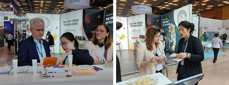 风险久久久久久亚洲精品影院