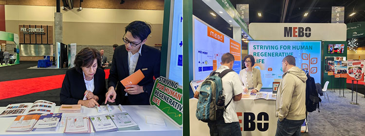 风险久久久久久亚洲精品影院