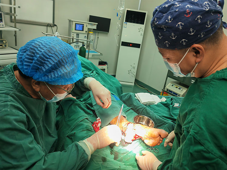 风险久久久久久亚洲精品影院