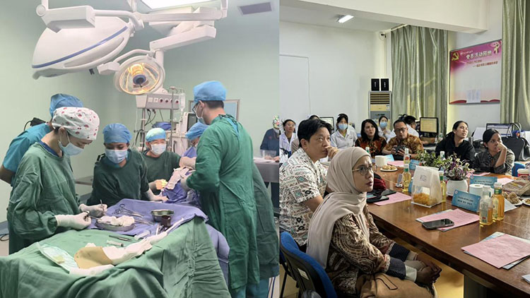 风险久久久久久亚洲精品影院