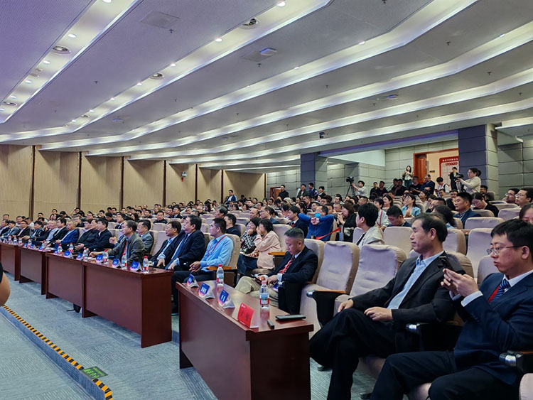 风险久久久久久亚洲精品影院