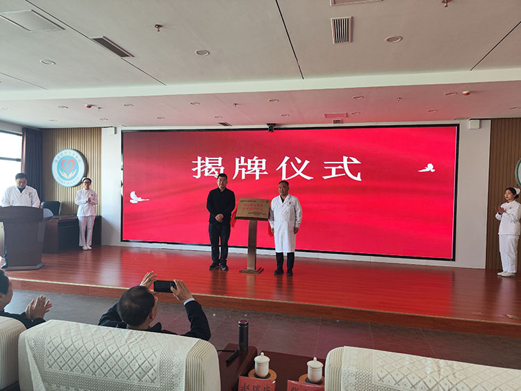 风险久久久久久亚洲精品影院