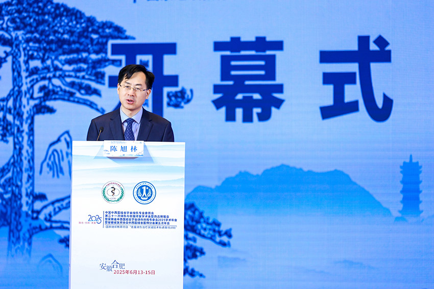 风险久久久久久亚洲精品影院