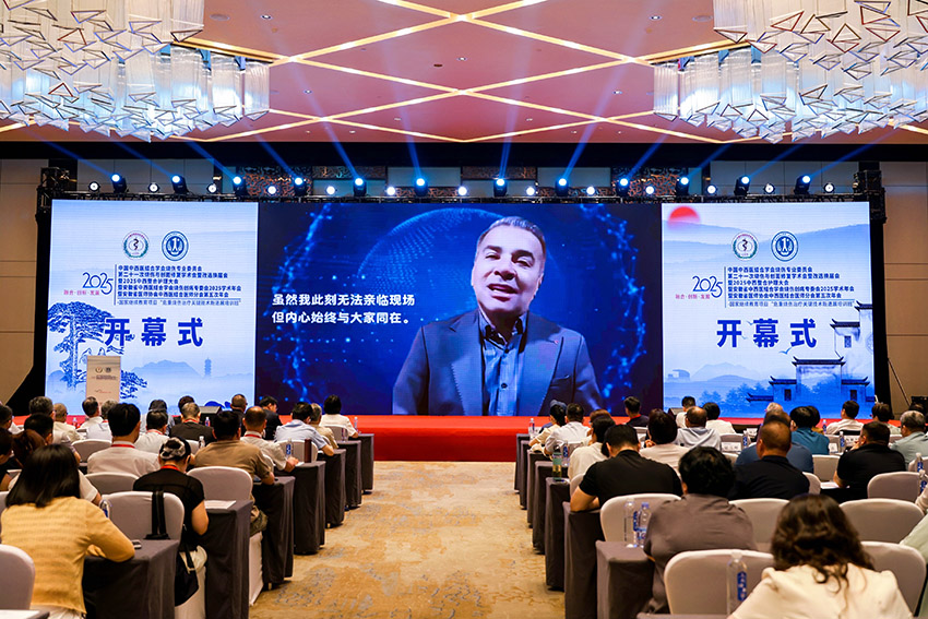 风险久久久久久亚洲精品影院