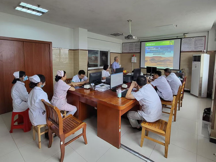 风险久久久久久亚洲精品影院