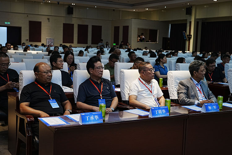 风险久久久久久亚洲精品影院