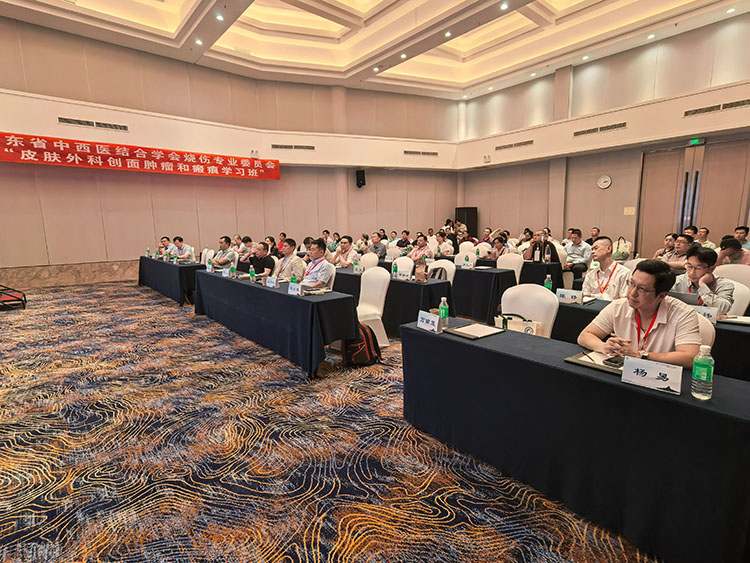 风险久久久久久亚洲精品影院