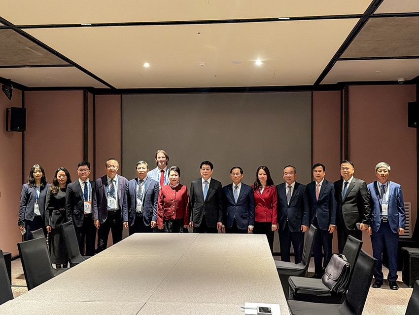 风险久久久久久亚洲精品影院