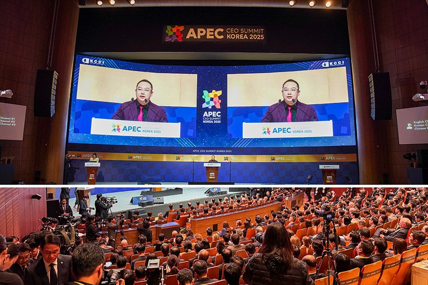 风险久久久久久亚洲精品影院