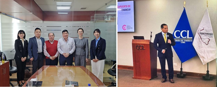 风险久久久久久亚洲精品影院