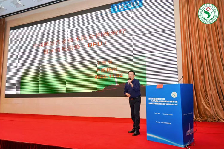 风险久久久久久亚洲精品影院