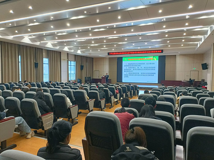 风险久久久久久亚洲精品影院