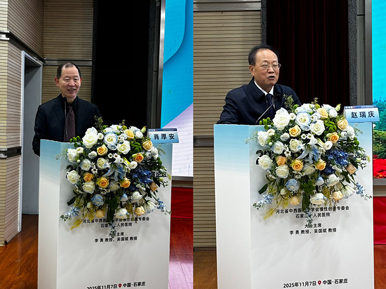 风险久久久久久亚洲精品影院