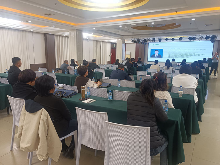 风险久久久久久亚洲精品影院