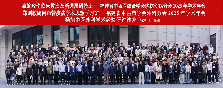 风险久久久久久亚洲精品影院