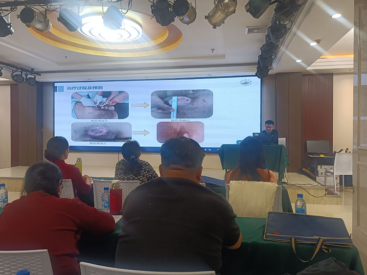 风险久久久久久亚洲精品影院