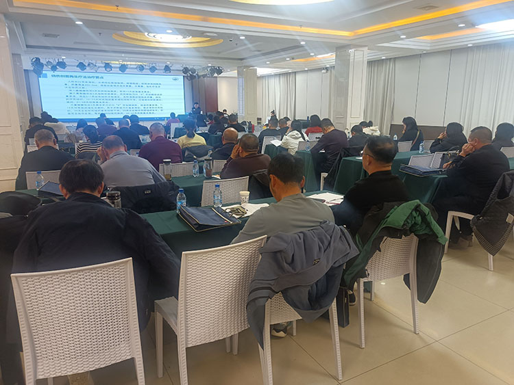 风险久久久久久亚洲精品影院