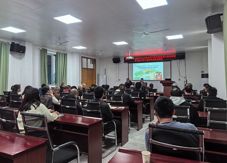 风险久久久久久亚洲精品影院